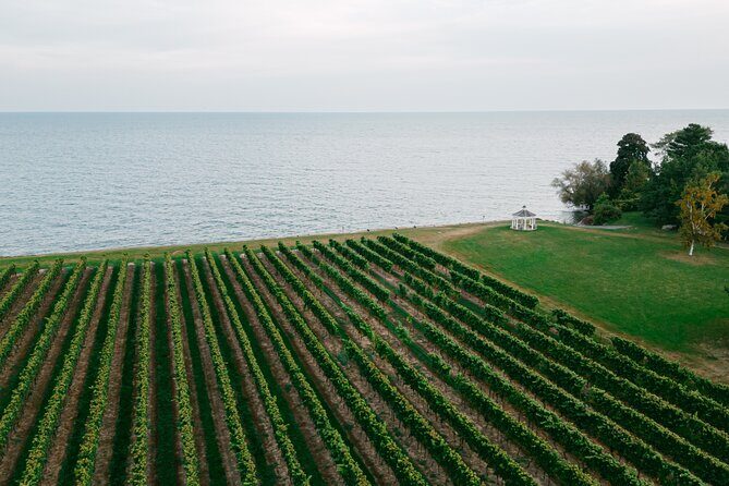 Fireside Flights Outdoor Tasting Experience - Final Thoughts