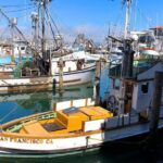 Fisherman's Wharf Walking Tour - What the Tour Means for You