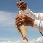 Fishing Adventure in Puerto Morelos with 26-foot Boat - Who Should Book This Tour?