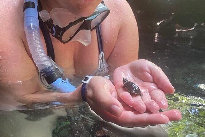 Five Cenotes Jungle Experience in the Riviera Maya - Practical Tips and Considerations
