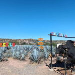Five-star factory: Meet Orendain tequila. - An In-Depth Look at the Tour