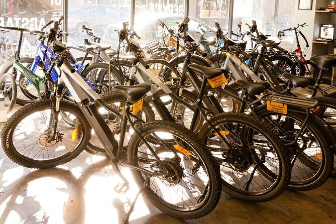 Flagstaff Electric Bike Rental - Practical Tips for Your Ride