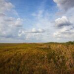 Flamingo Everglades Boat Tours - Evaluating the Value