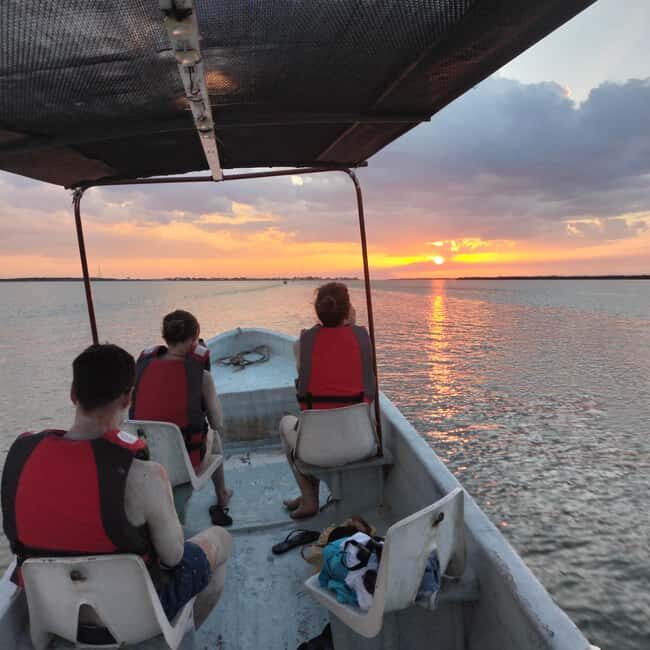 Flamingo tour Rio Lagartos, Yucatan 2 hours - What You Can Expect from the Rio Lagartos Flamingo Tour