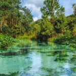 Florida: Emerald Cut Kayak Adventure - Who Should Consider This Tour?