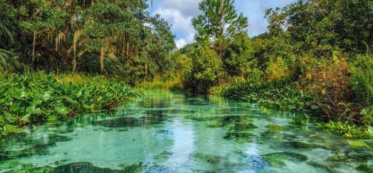 Florida: Emerald Cut Kayak Adventure - Who Should Consider This Tour?