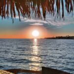 Florida Keys: 1.5-Hour Tiki Fun Cruise - Wildlife Watching and Scenic Views