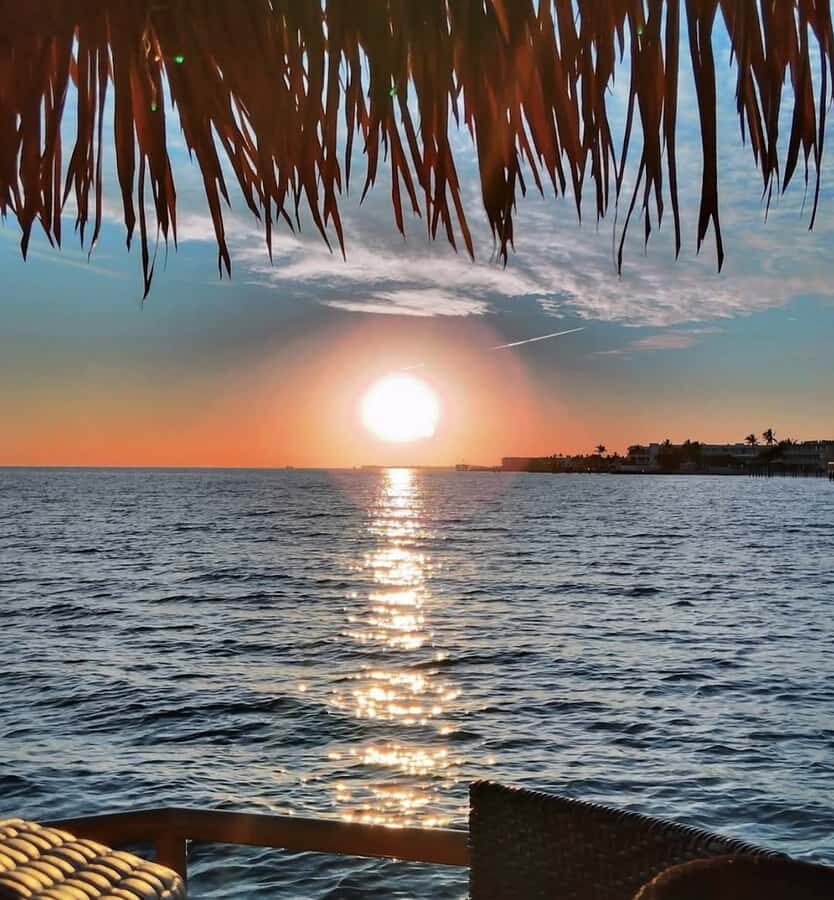 Florida Keys: 1.5-Hour Tiki Fun Cruise - Wildlife Watching and Scenic Views