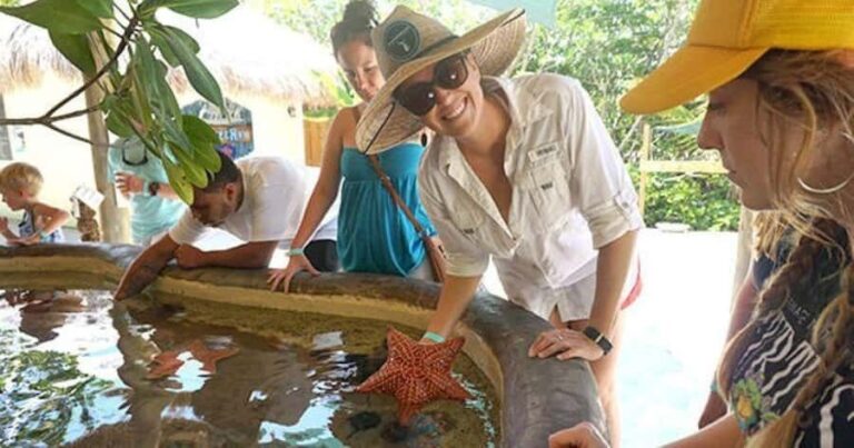 Florida Keys: Aquarium Encounters Day Tour with Lunch - Analyzing the Experience: What’s Involved and What You’ll Love