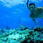 Florida Keys: Full-Day Kayak + Snorkel Coral Reef Adventure - Check-In and Gear Up