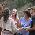 Florissant: Private Horse Experience with Rescue Mustangs - Detailed Breakdown of the Experience