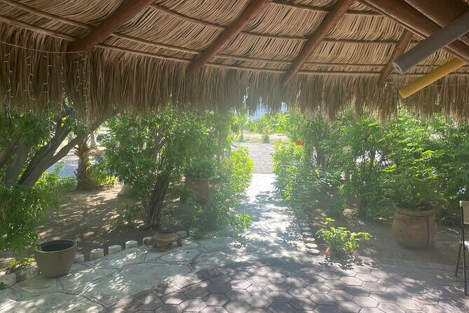 Foco Tonal Sound Vortex Meditation Experience in Los Cabos - FAQ – Frequently Asked Questions