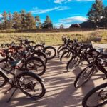 Fort Collins: Guided E-Bike City Tour with Local Highlights - What to Expect: A Curated Itinerary