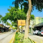 Fort Lauderdale, Las Olas, Around the World Food Tour Experience - What’s Included and What’s Not