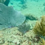 Fort Lauderdale: Ocean Reef Snorkel Tour w/ Snacks & Drinks - Equipment & Safety Measures