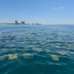 Fort Lauderdale: Parasailing on Fort Lauderdale Beach - Analyzing the Price and Value