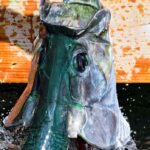 Fort Lauderdale to Islamorada Day Trip - Final Thoughts