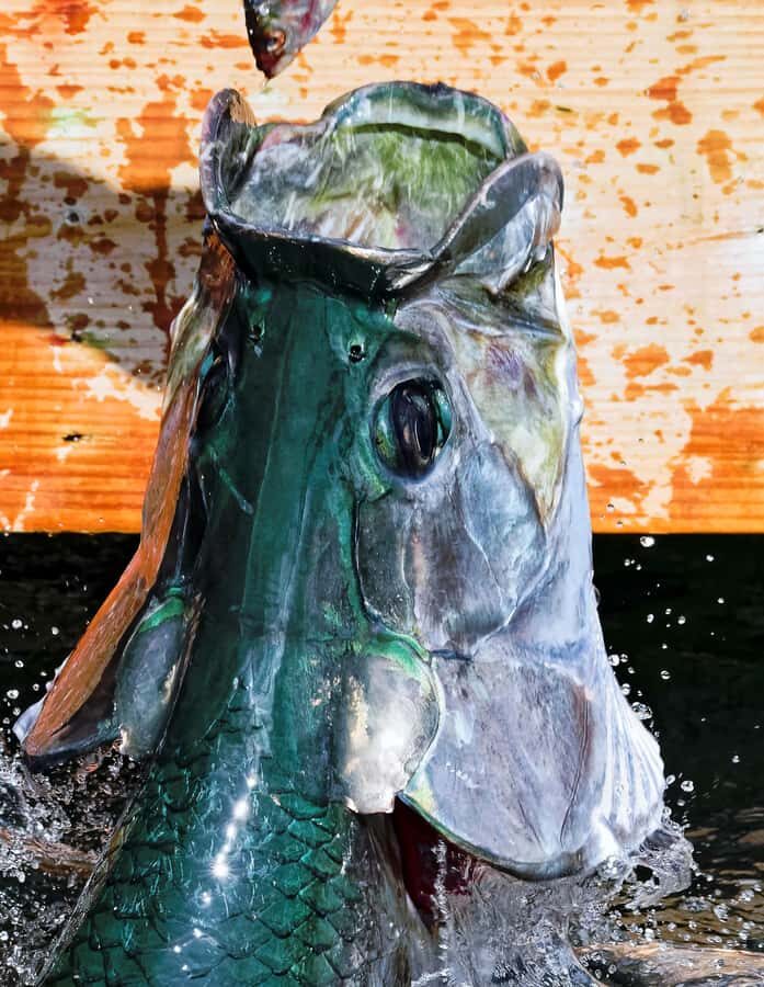 Fort Lauderdale to Islamorada Day Trip - Final Thoughts