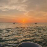 Fort Walton: Sunset Dolphin Cruise on the Emerald Coast - The Sum Up