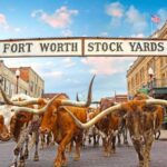 Fort Worth: Heritage and Landmarks Open-Air Tour - Who Is This Tour Best For?