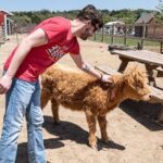 Fredericksburg Safari Tour Without Wine Tasting - Analyzing the Value