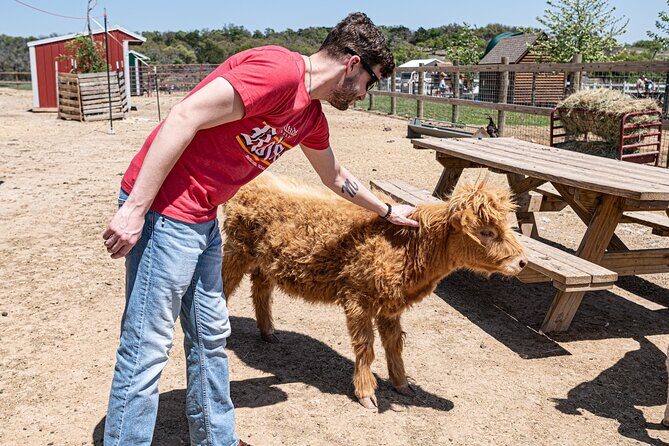 Fredericksburg Safari Tour Without Wine Tasting - Analyzing the Value