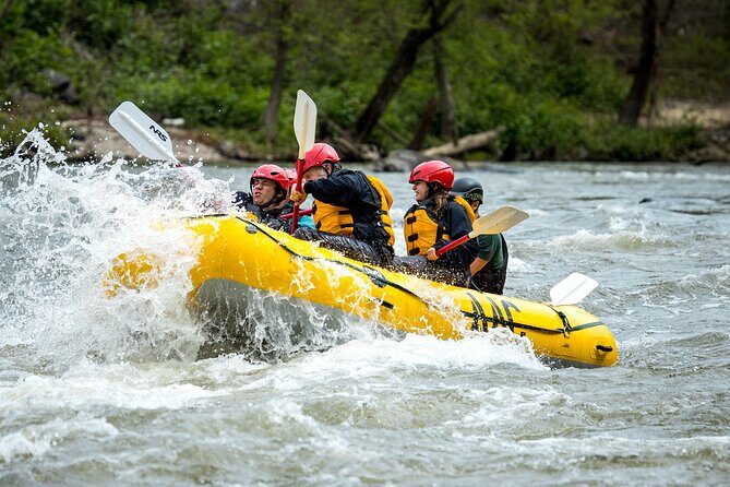 French Broad Gorge Whitewater Rafting Trip - Final Thoughts: Who Is This Tour Best For?