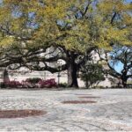 French Quarter, Voodoo, and Vampire History Tour - Who Should Consider This Tour?