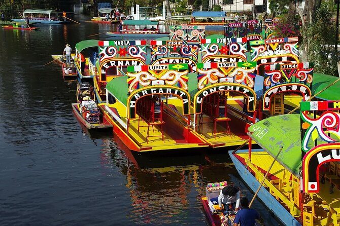 Frida Kahlo Xochimilco and University City - Is This Tour Worth It?
