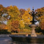 Friends Filming Locations in New York City with Private Guide - Practical Aspects of the Tour