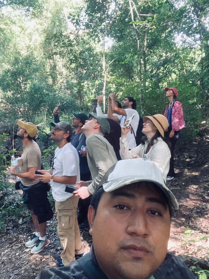 From Bacalar: Calakmul Ruins Expedition & Jungle Trek - An In-Depth Look at the Calakmul Experience