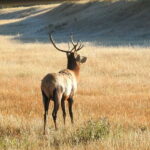 From Banff/Canmore: Deep 1 Day Tour in Banff National Park - The Value of This Tour