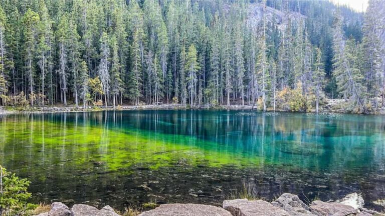 From Banff: Grassi Lake and Grotto Canyon Half day tour - Why We Think This Tour Offers Good Value