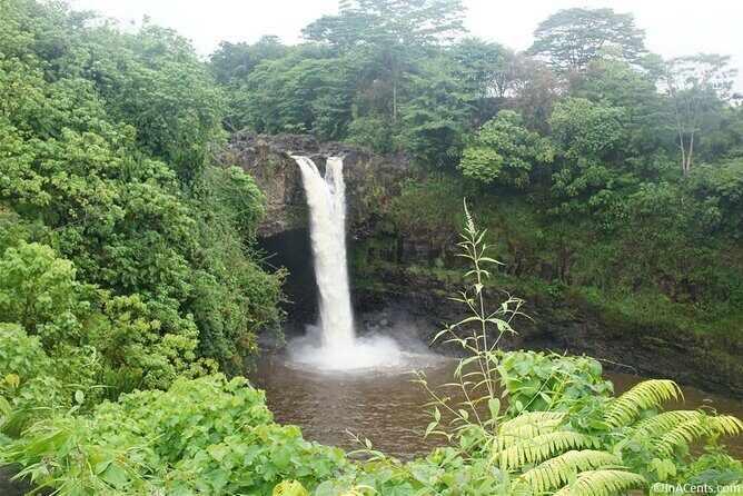 From Big island Kona Volcanoes and Waterfalls Shared Tour - What Do the Reviews Say?