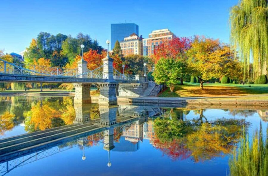 From Boston:Public Garden,Beacon Hill&More Half Day tour - What to Expect on the Tour