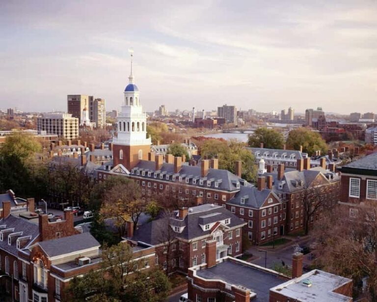 From Boston:Small Group Harvard, MIT, Quincy Market Day Tour - Who Will Love This Tour?