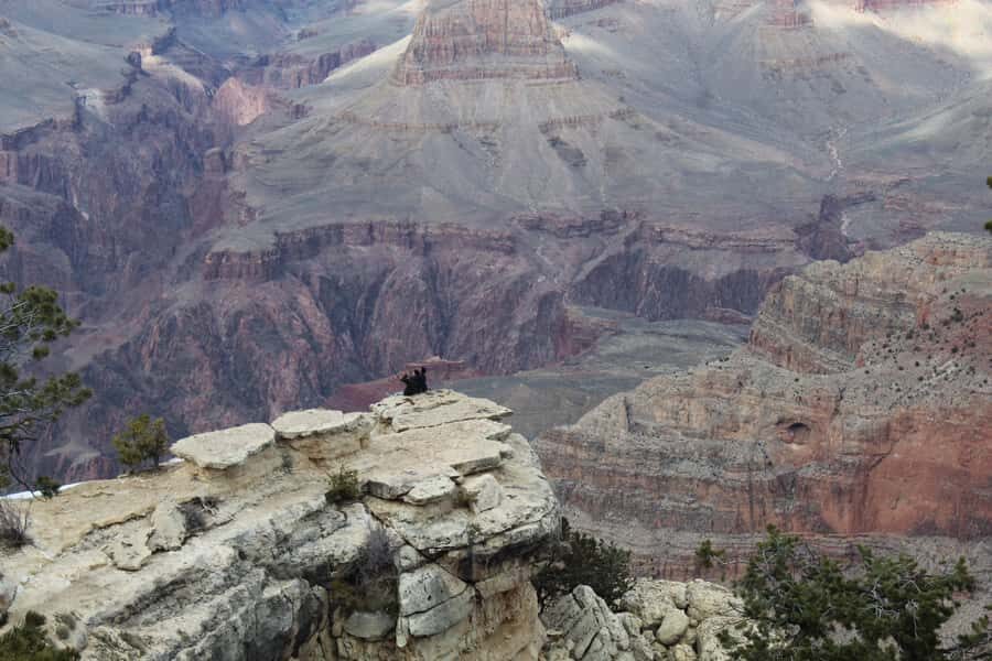 From Boulder City: Grand Canyon National Park South Rim Tour - The Value of This Tour