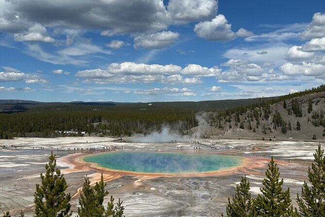 From Bozeman Yellowstone Full Day Tour Lower Loop - Transportation & Comfort