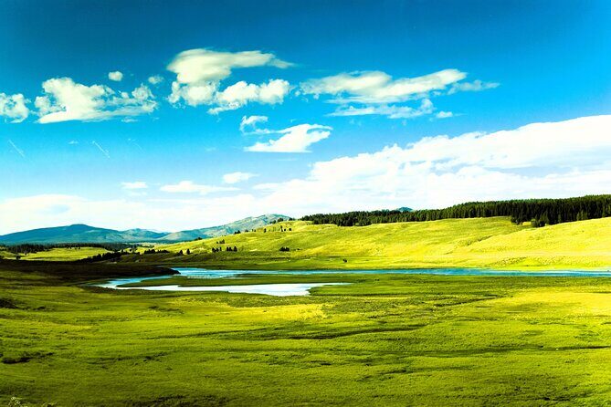 From Bozeman Yellowstone Full Day Tour Upper Loop - What Does the Experience Include?