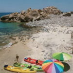 From Cabo: Cabo Pulmo Marine Park Snorkeling and Kayaking - Analyzing the Price and Value