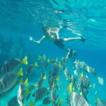 From Cabo San Lucas: Lovers Beach and El Arco Boat Trip - Who Will Love This Tour?