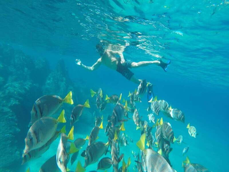 From Cabo San Lucas: Lovers Beach and El Arco Boat Trip - Who Will Love This Tour?