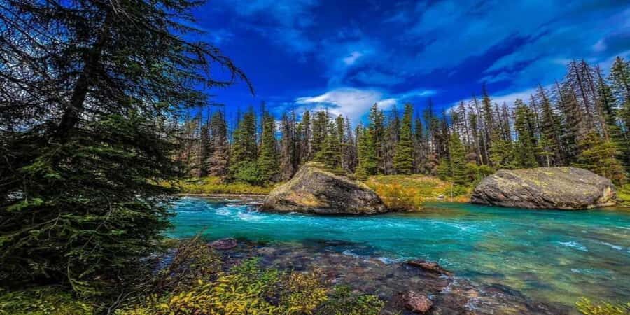 From Calgary/Banff/Canmore: 6 Lakes Full-Day Tour - What to Expect: Practical Tips