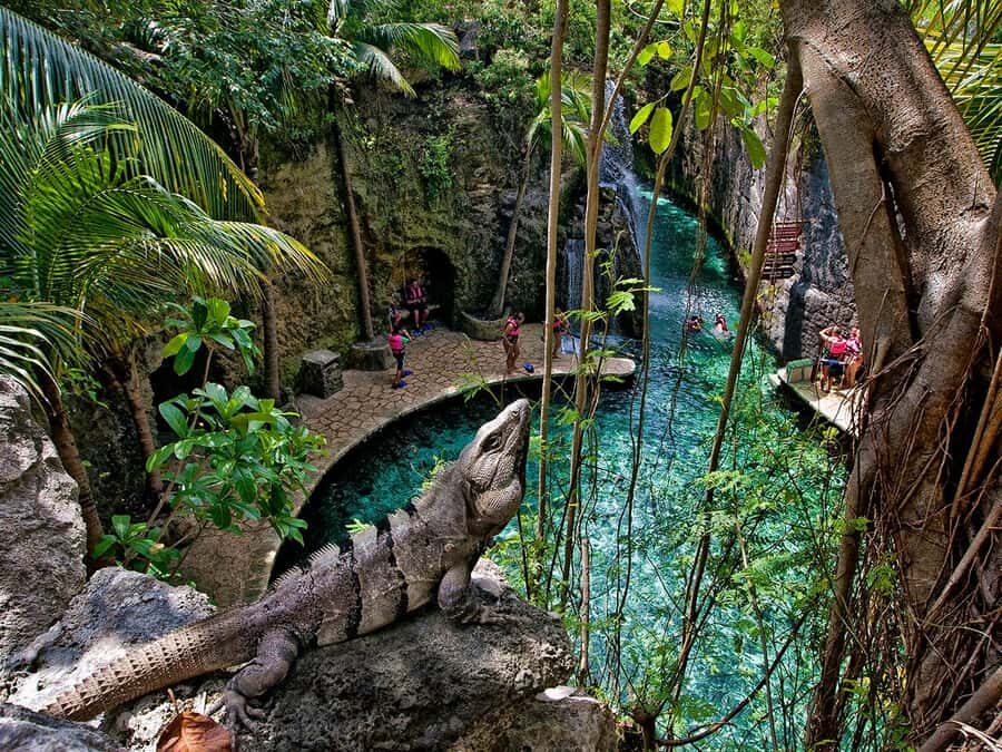 From Cancun: Full Combo to Xcaret Park! - Getting to Know Xcaret: Why This Park Is Special