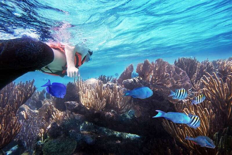 From Cancun: Garrafon Reef Park Admission with Ferry Tickets - Who Will Love This Tour?
