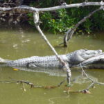 From Cancun: Kantemó Snake Cavern Adventure - What Makes This Tour Stand Out?
