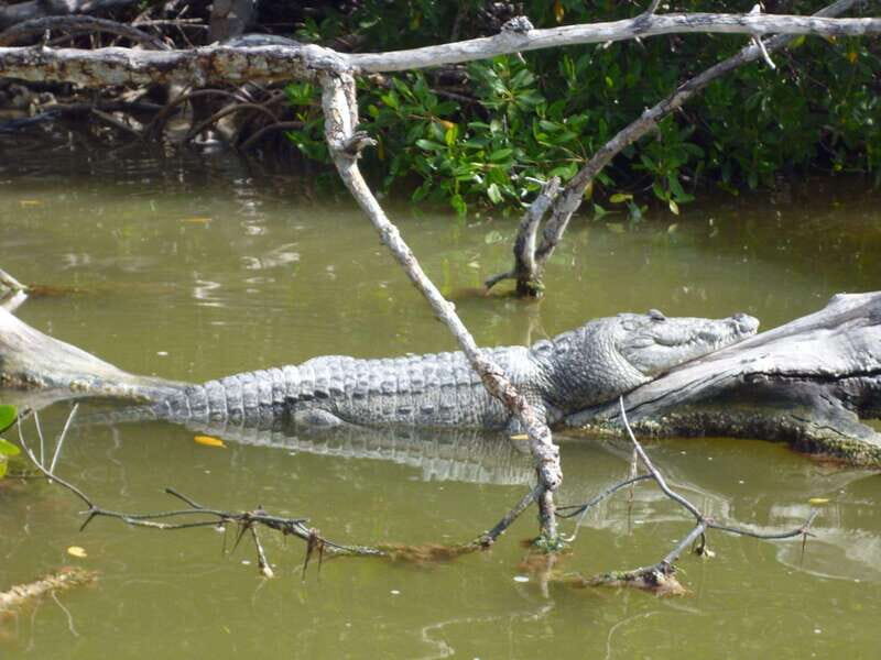 From Cancun: Kantemó Snake Cavern Adventure - What Makes This Tour Stand Out?