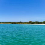 From Cancún: Rio Lagartos & Las Coloradas Day Trip & Lunch - Pricing and Value