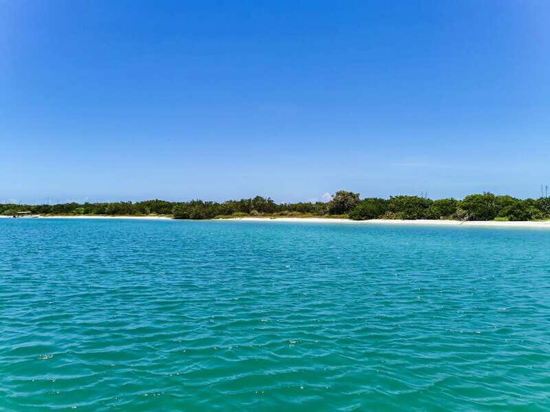 From Cancún: Rio Lagartos & Las Coloradas Day Trip & Lunch - Pricing and Value