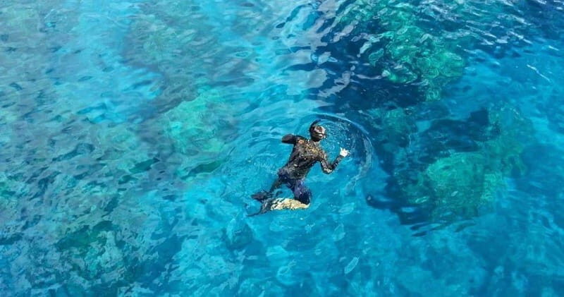 From Cancun: Snorkeling Cozumel Reefs - Practical Details: What You Need to Know
